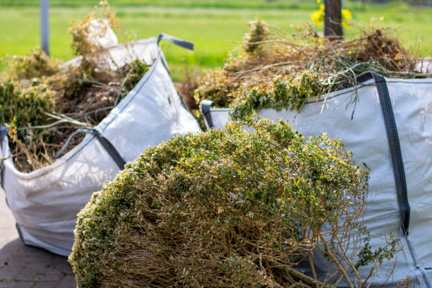 Best Shed Removal  in Miller, SD